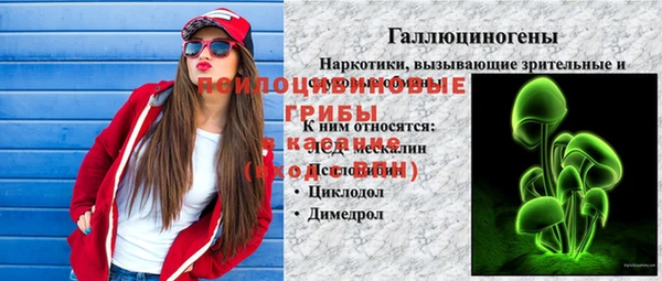 a pvp Осинники