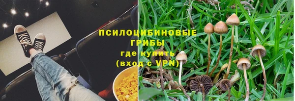 первитин Осташков